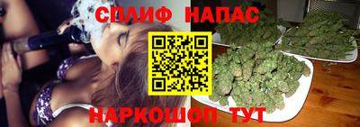 соль ск Кингисепп