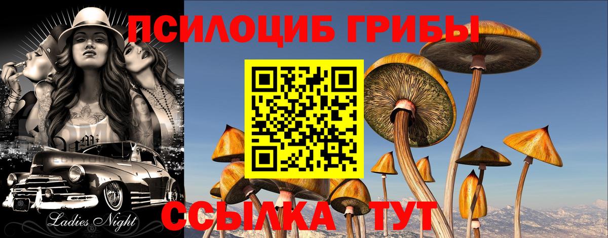 Галлюциногенные грибы Magic Shrooms  Ярославль 