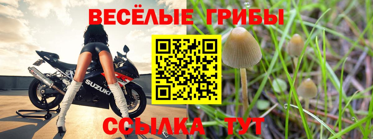 Галлюциногенные грибы Magic Shrooms Ярославль