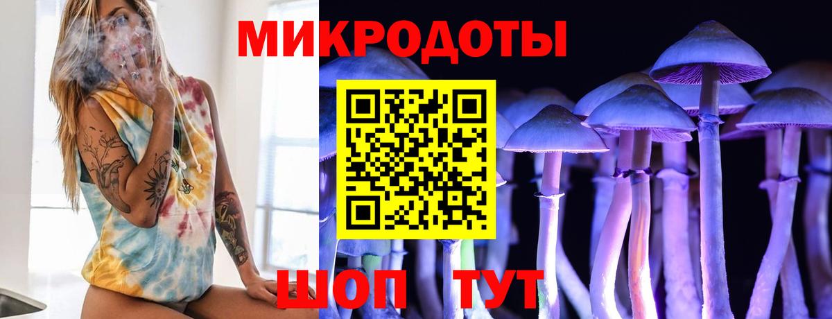 Ярославль  Галлюциногенные грибы ЛСД  Вход с VPN 